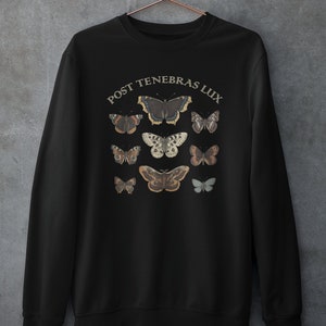 Dark Academia Clothing Moth Sweatshirt, Light Academia Indie Aesthetic Sweater image 2