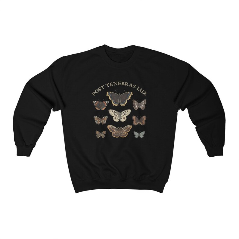 Dark Academia Clothing Moth Sweatshirt, Light Academia Indie Aesthetic Sweater image 5