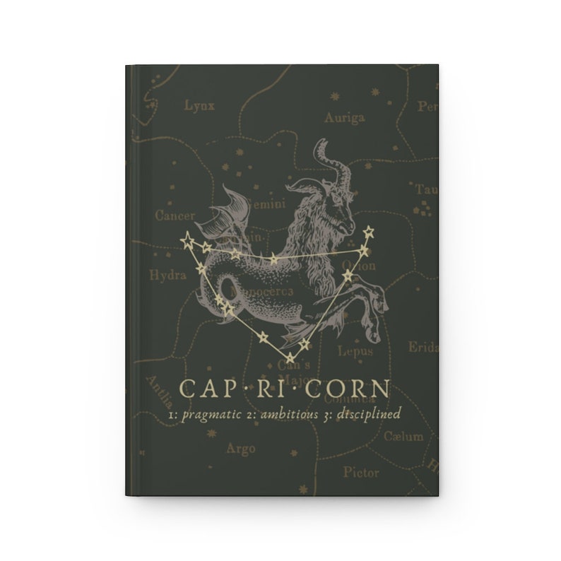 Dark Academia Capricorn Aesthetic Hardcover Notebook, Witchy Vintage Astrology Journal Gift image 3