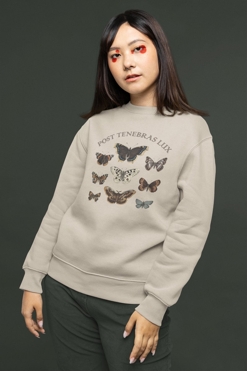 Dark Academia Clothing Moth Sweatshirt, Light Academia Indie Aesthetic Sweater image 3