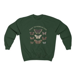 Dark Academia Clothing Moth Sweatshirt, Light Academia Indie Aesthetic Sweater image 4