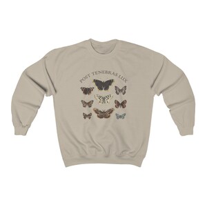 Dark Academia Clothing Moth Sweatshirt, Light Academia Indie Aesthetic Sweater image 7