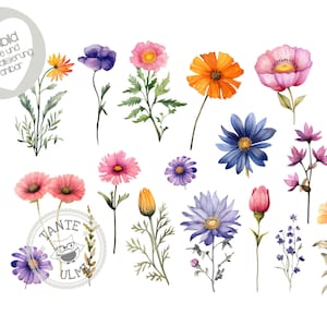 Puede incluir: Una colección de ilustraciones de acuarela de varias flores en tonos de rosa, naranja, azul y morado. Las flores están dispuestas en un patrón aleatorio sobre un fondo blanco.