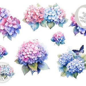 Könnte beinhalten: Aquarell-Illustration von rosa und blauen Hortensien mit grünen Blättern. Die Hortensien sind in verschiedenen Clustern und Größen angeordnet. Ein Schmetterling ist ebenfalls im Bild enthalten.