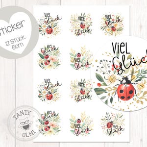 Adesivi "Good Luck Ladybug Mix" 12 pezzi 6 cm