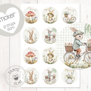 Aufkleber Hasen Frühling 12 Stück  6cm