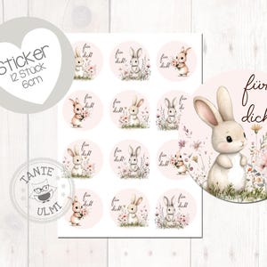 Aufkleber "Für Dich Hasen" 12 Stück  6cm