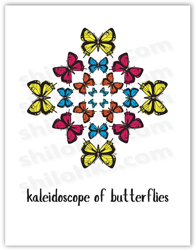 Kaleidoscope of Butterflies animal nouns butterfly art Etsy
