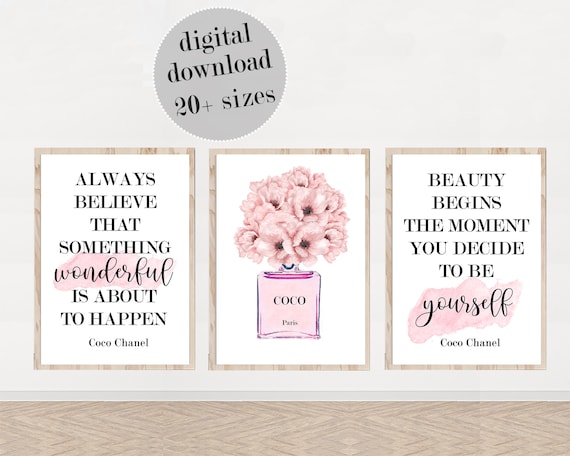 Coco Chanel & Pink Rose Wall Art Canvas Print Set