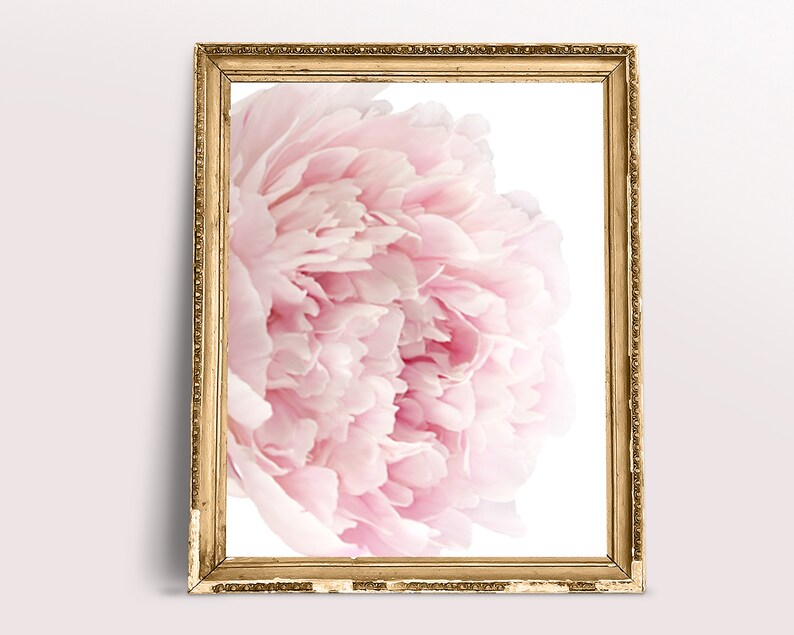 Blush Pink Peony Wall Art Set: Bedroom Decor (digital Download) - Etsy