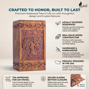 Rosewood Tree of Life urn with peaceful birds, handmade from solid, legally sourced wood, shown in multiple lifestyle scenes for ashes burial, home memorial display, columbarium niches and scattering in nature. Features secure sliding bottom opening with screw, TSA-approved design for travel, and size options from keepsake to XX-large family urn. Warm, comforting finish blends with modern décor, creating a meaningful, dignified tribute and thoughtful sympathy gift.
