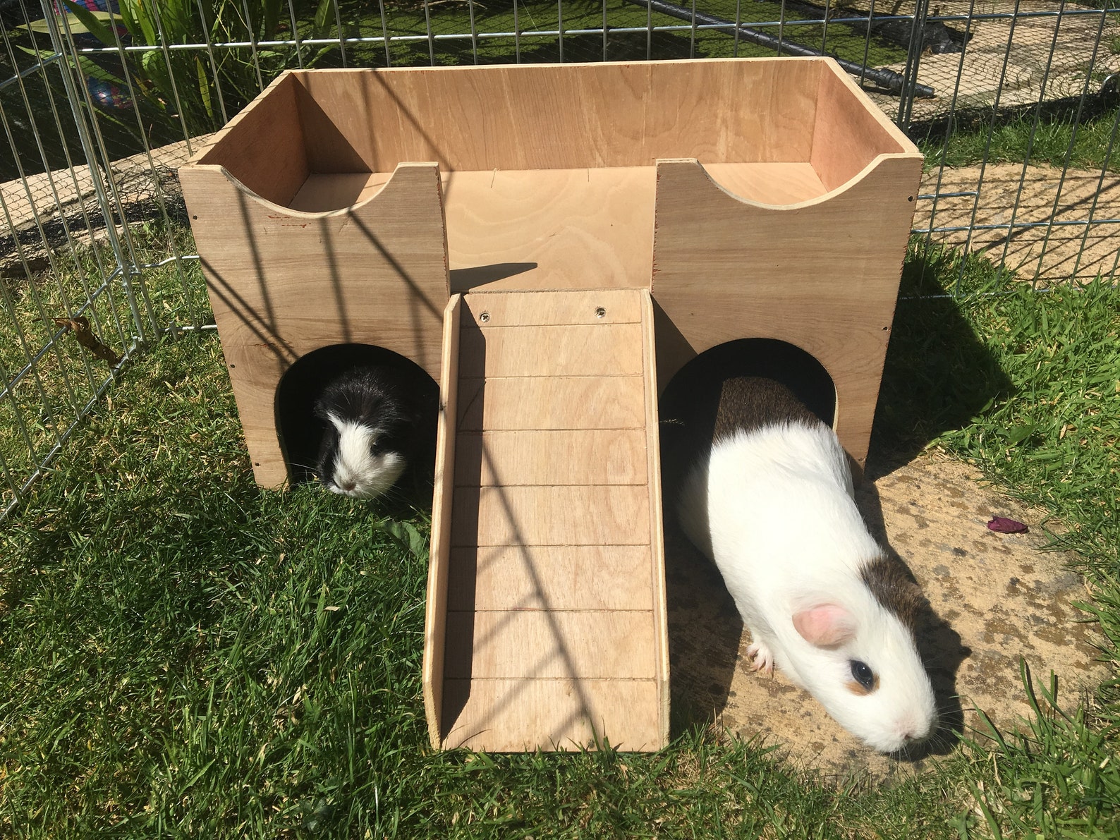Guinea Pig/small Animal Hideout Shelter Castle Etsy Australia