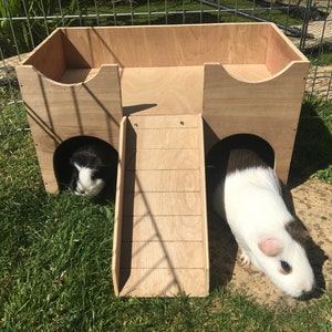 Guinea Pig/Small Animal Hideout Shelter Castle