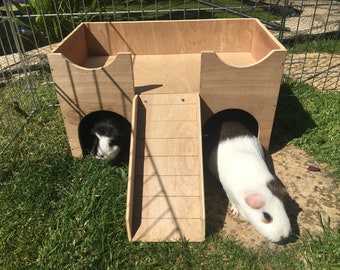 Guinea Pig/Small Animal Hideout Shelter Castle