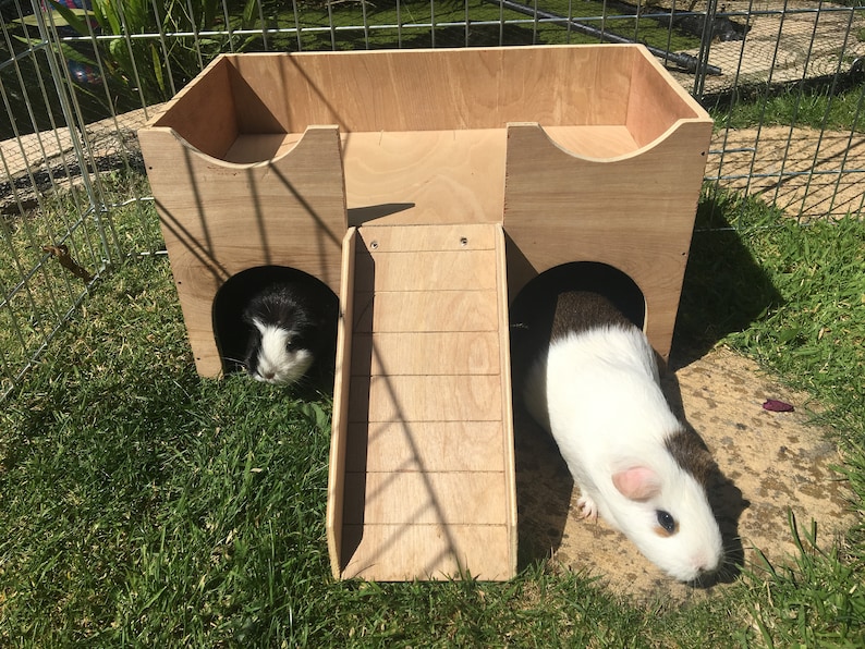 Guinea PigSmall Animal Hideout Shelter Castle
