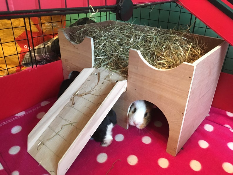 Guinea PigSmall Animal Hideout Shelter Castle