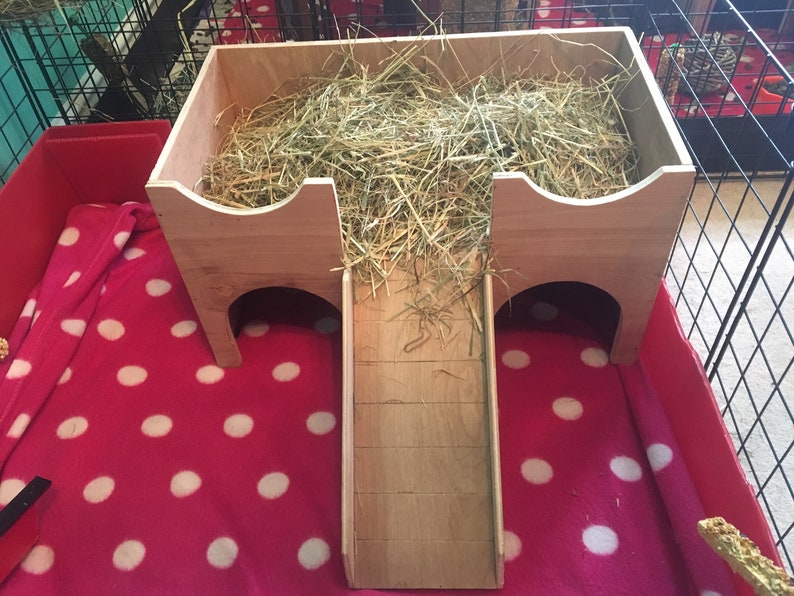 Guinea PigSmall Animal Hideout Shelter Castle