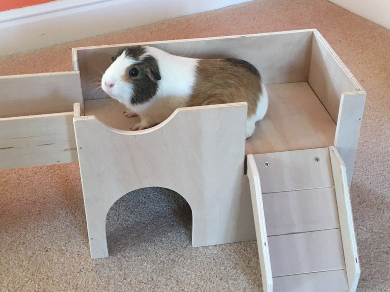 Guinea Pig/small Animal Shelter House Castle Hideout Etsy