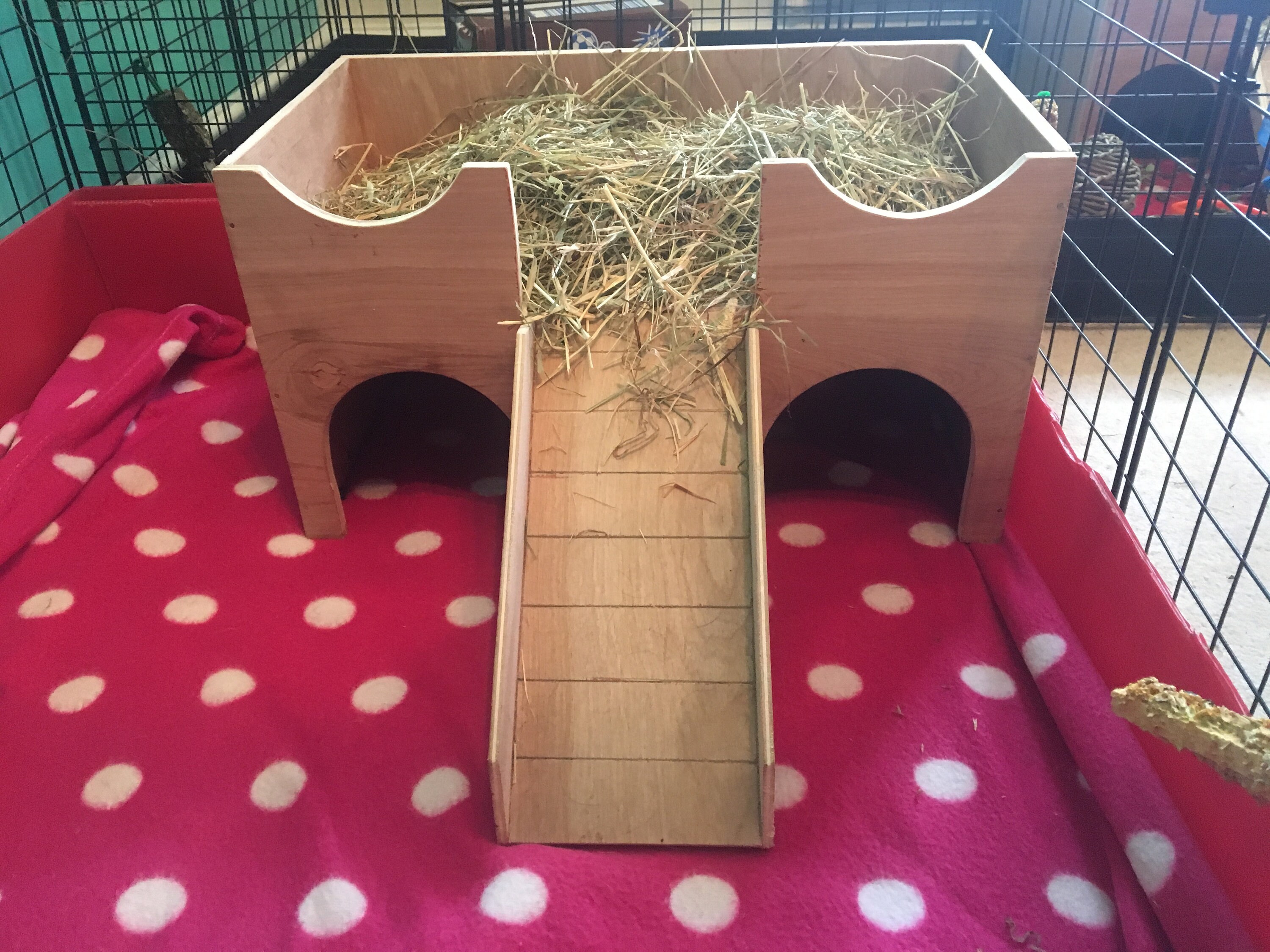 Guinea Pig/Small Animal Hideout Shelter Castle Etsy