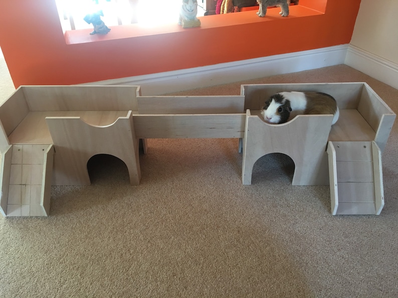 Guinea Pig/Small Animal Shelter House Castle Hideout image 1