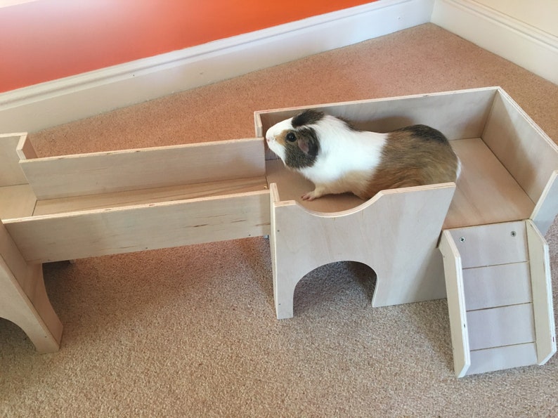 Guinea Pig/Small Animal Shelter House Castle Hideout | Etsy