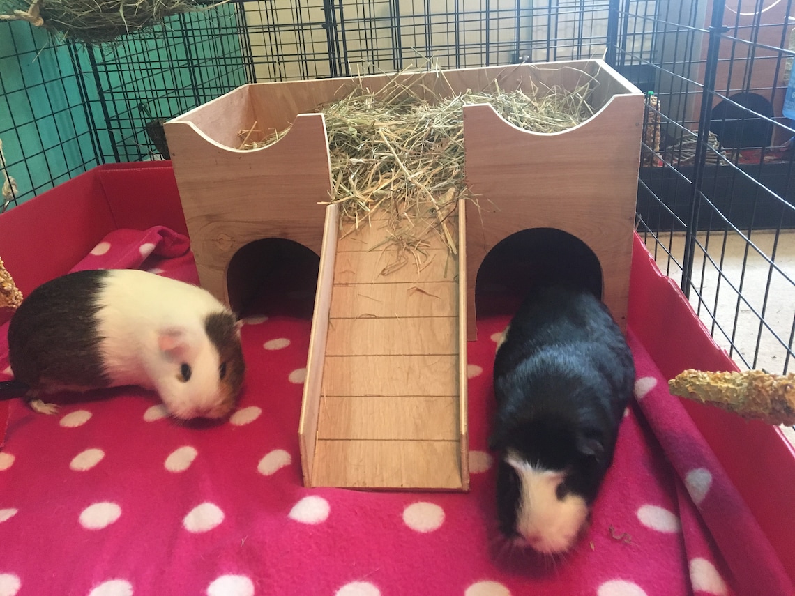 Guinea Pig/small Animal Hideout Shelter Castle Etsy UK