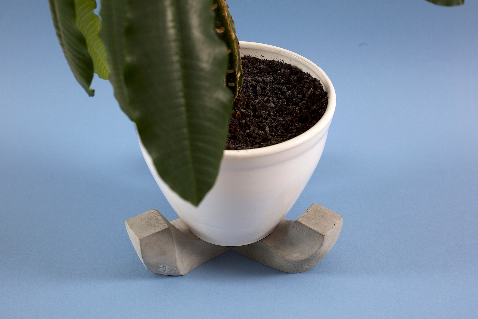 Pot Feet Risers Modern Concrete Pot Feet Concrete Gift Etsy