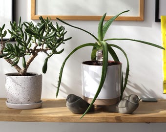 Elevadores de patas de maceta de hormigón modernos: juego de 3 hechos a mano