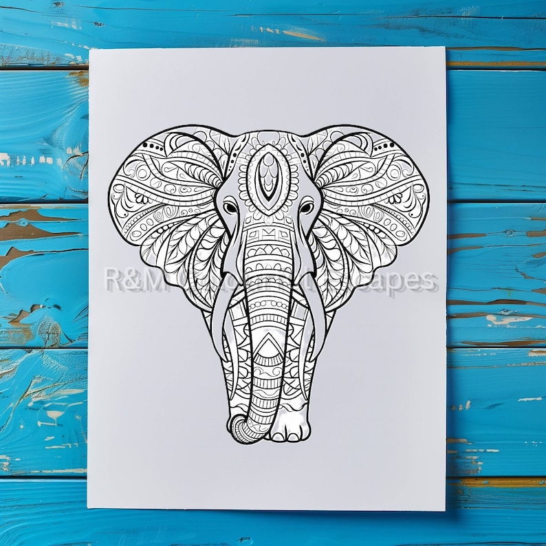 Printable Elephant Colouring Page, Mandala Style Digital Download, A4 ...