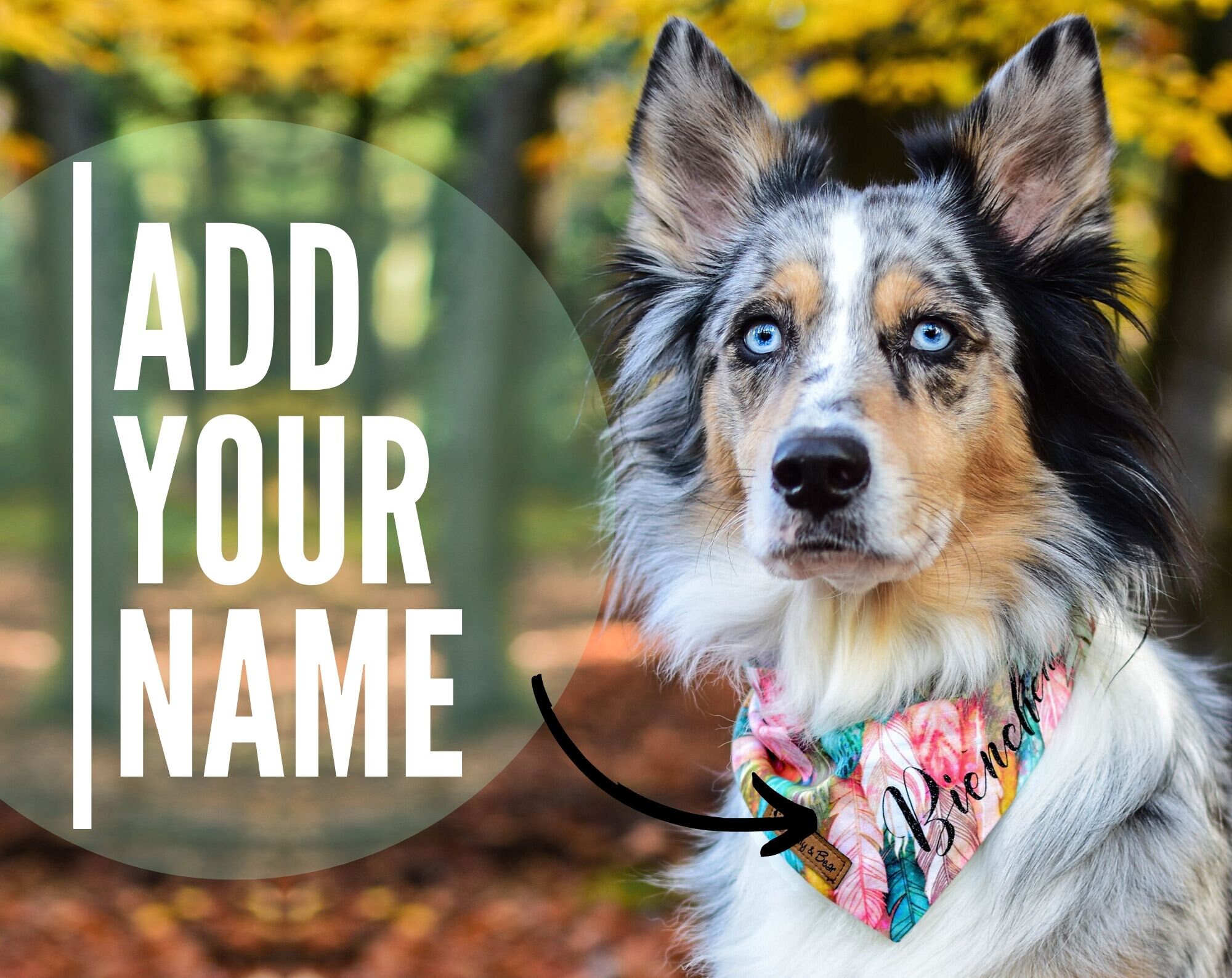 ADD YOU NAME Add on for Our Dog Bandanas Personalized | Etsy