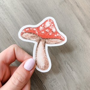 Mushroom Sticker | Fun-Guy | Vinyl Sticker, Plant Sticker, Mushroom, Nature Sticker, Planner Sticker, Mushroom Decal