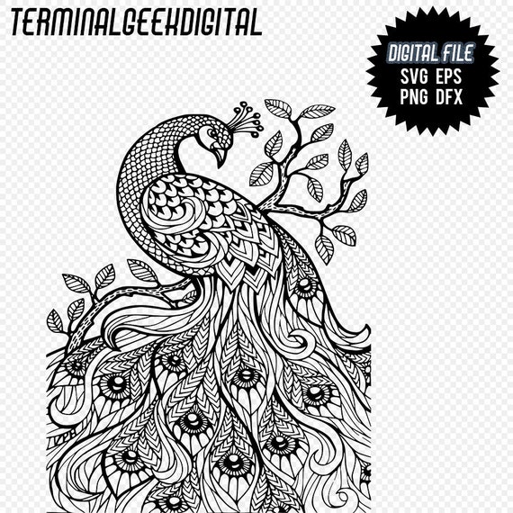 Download Peacock 2 Zentangle Mandala Svg Png Dxf Eps Cricut Silhoutte Etsy