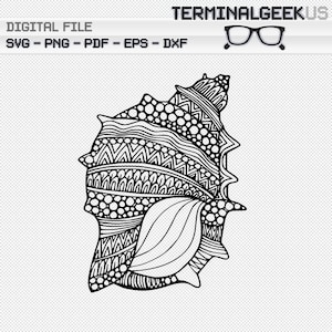 May include: A black and white line drawing of a seashell with intricate patterns and swirls. The shell is detailed with circles, zigzags, and wavy lines.