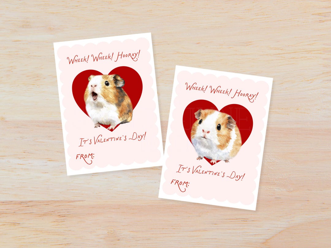 Guinea Pig Valentines Day Cards | School Valentine | Kids Valentines ...