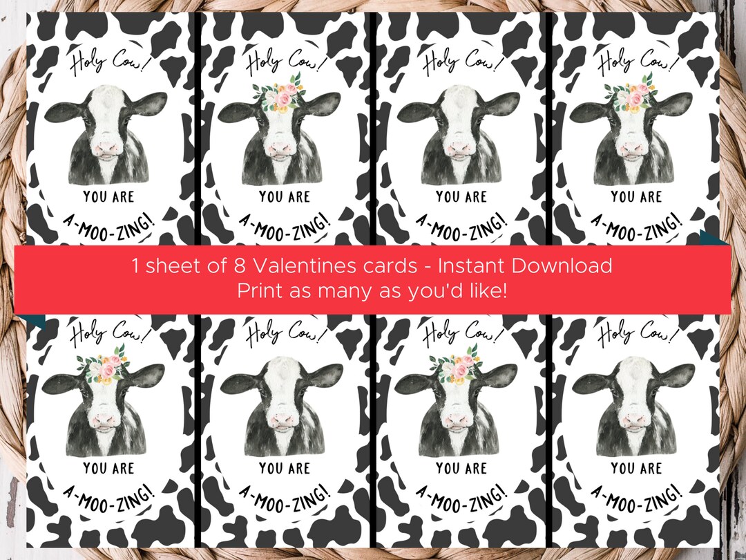 Cow Valentines Day Cards  Holy Cow  Kids Classroom