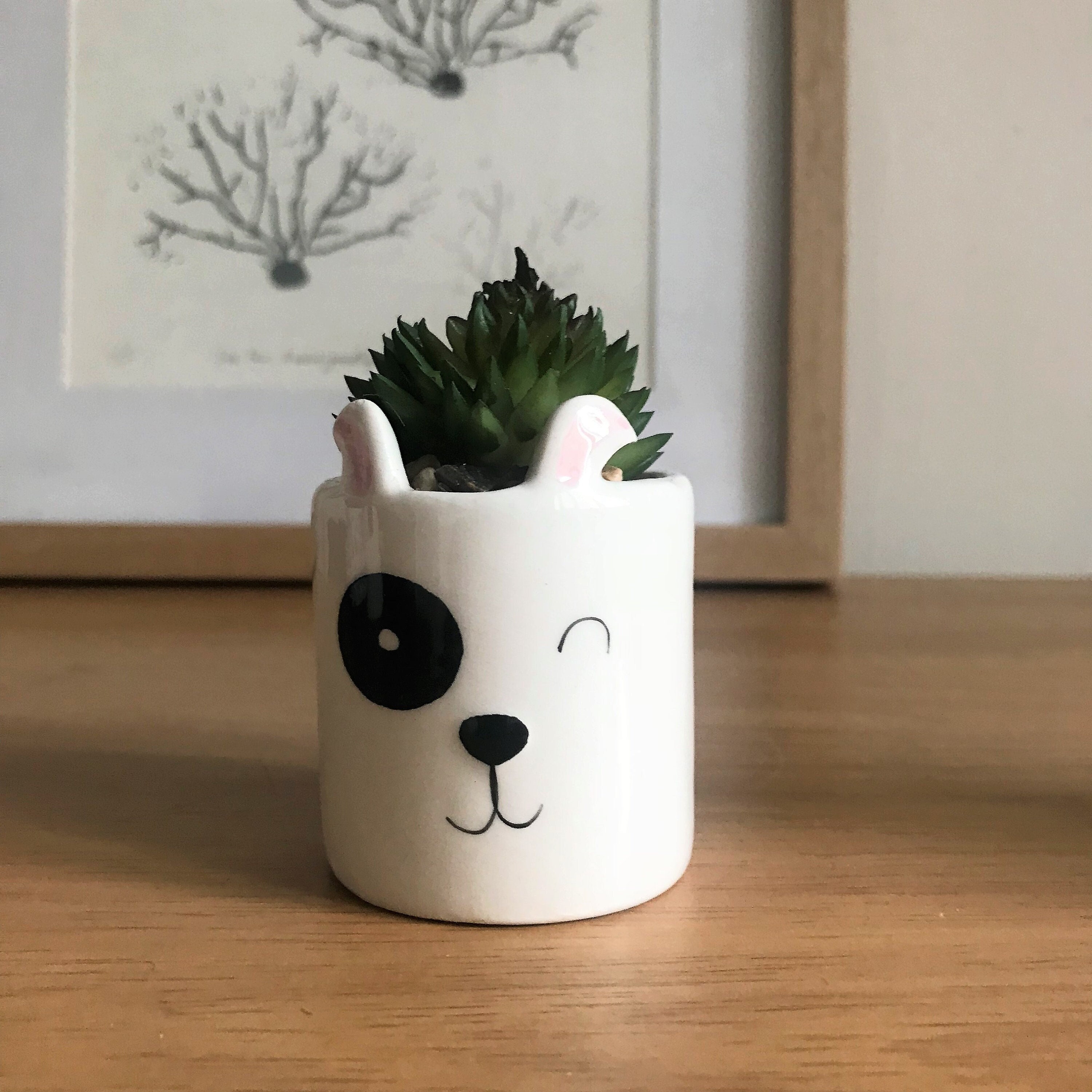 little pots for succulents 3-Pack Joy Sedum Artificial Succulents In Ceramic Pots 6"