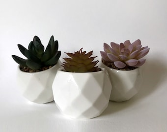 Fake plants decor, Minimalist Mini faux plant pots, Small succulent planter, White planter with artificial plant, Minimalist home decor