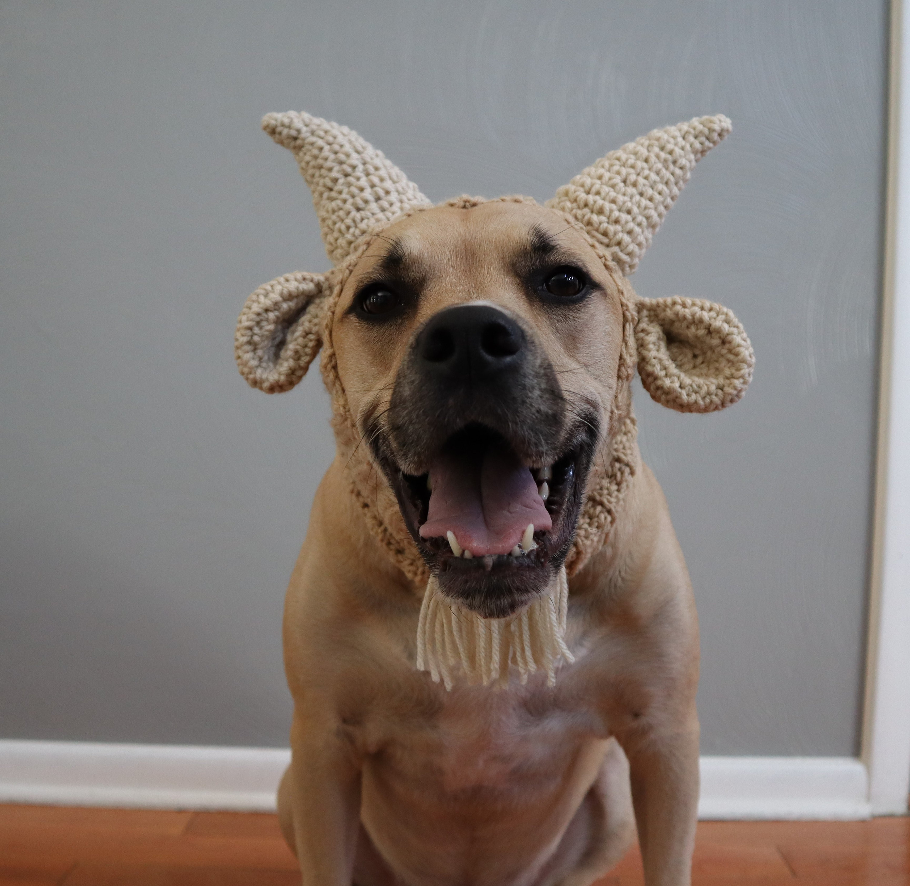 18 Dog Snood Crochet Patterns for Cozy, Cute, and Practical Pet Wear 5 Goat Dog Snood Cowl Pattern-Dog Snood-Dog Snood Crochet