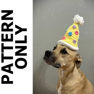 May include: A tan dog wearing a yellow crocheted party hat with colorful polka dots. The hat has a white pom-pom on top.