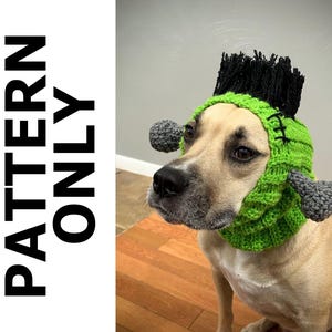 Puede incluir: Un perro marrón con un gorro de crochet verde y negro de Frankenstein. El gorro tiene un cuerpo verde con puntadas negras y un mohawk negro.