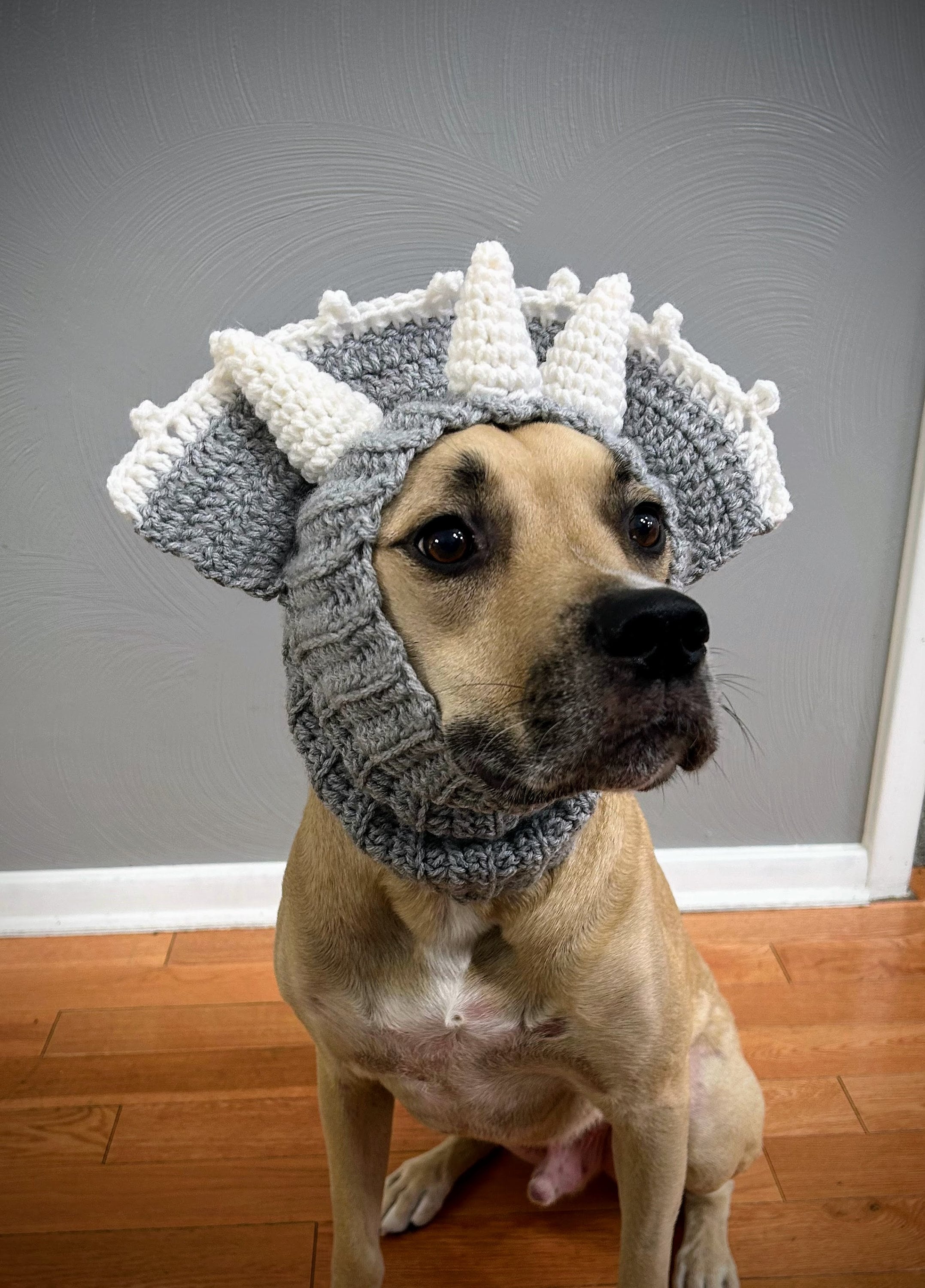 18 Dog Snood Crochet Patterns for Cozy, Cute, and Practical Pet Wear 9 Triceratops Dog Snood Cowl Pattern-Dog Snood-Dog Snood