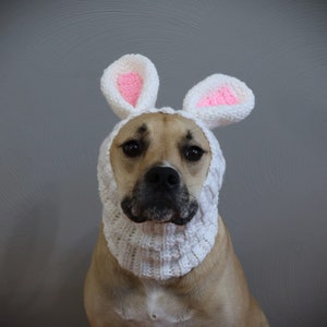 Bunny Dog Snood Cowl Pattern-Dog Snood-Dog Snood Crochet Pattern-Snood Crochet Pattern-Bunny Snood-Dog Costume-Crochet Pattern-Easter image 2