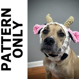 May include: A brown and white dog wearing a crocheted cow costume with pink ears and black spots. The costume has a white base with black spots and pink ears.