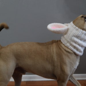 Bunny Dog Snood Cowl Pattern-Dog Snood-Dog Snood Crochet Pattern-Snood Crochet Pattern-Bunny Snood-Dog Costume-Crochet Pattern-Easter image 5