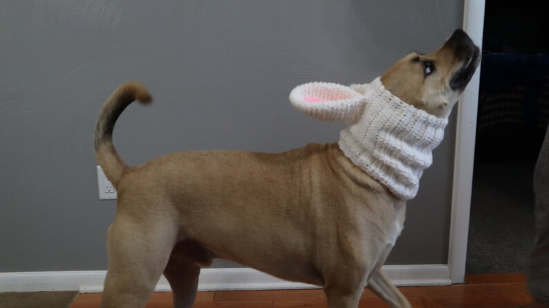 Bunny Dog Snood Cowl Pattern-Dog Snood-Dog Snood Crochet Pattern-Snood Crochet Pattern-Bunny Snood-Dog Costume-Crochet Pattern-Easter image 5