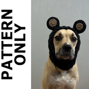 Può includere: Un cane marrone e bianco che indossa un cappello da orso in crochet nero con orecchie in feltro marrone.