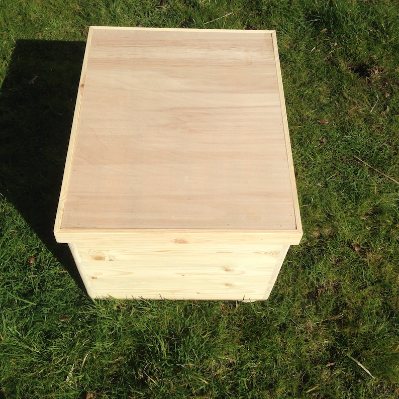 May include: A rectangular wooden box with a light-coloured, flat lid. The box is made of untreated wood, showing the natural grain. It sits on green grass. The box is likely for storage or display, with a simple, clean design.