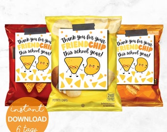 Last day of School Tags | Appreciation Tags | Classroom Treat Tag | Friend Chip Bag Tags |Thank You End of School Year| Summer Classmate