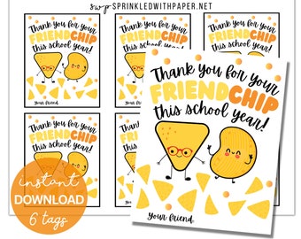 Last day of School Tags | Appreciation Tags | Classroom Treat Tag | Friend Chip Bag Tags |Thank You End of School Year| Summer Classmate