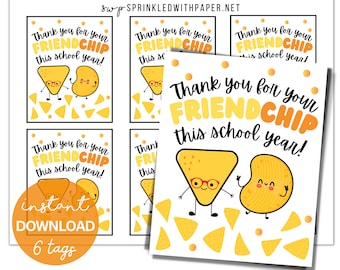 Last day of School Tags | Appreciation Tags | Classroom Treat Tag | Friend Chip Bag Tags |Thank You End of School Year| Summer Classmate